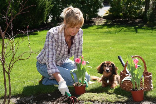 Gardening team clearing a medium-sized rear garden in Abbey Wood