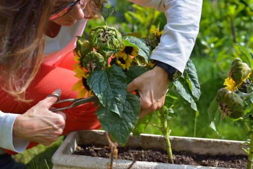 Staff wearing personal protective equipment during gardening work
