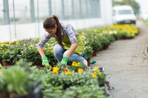 Gardener Abbey Wood transforming a residential garden